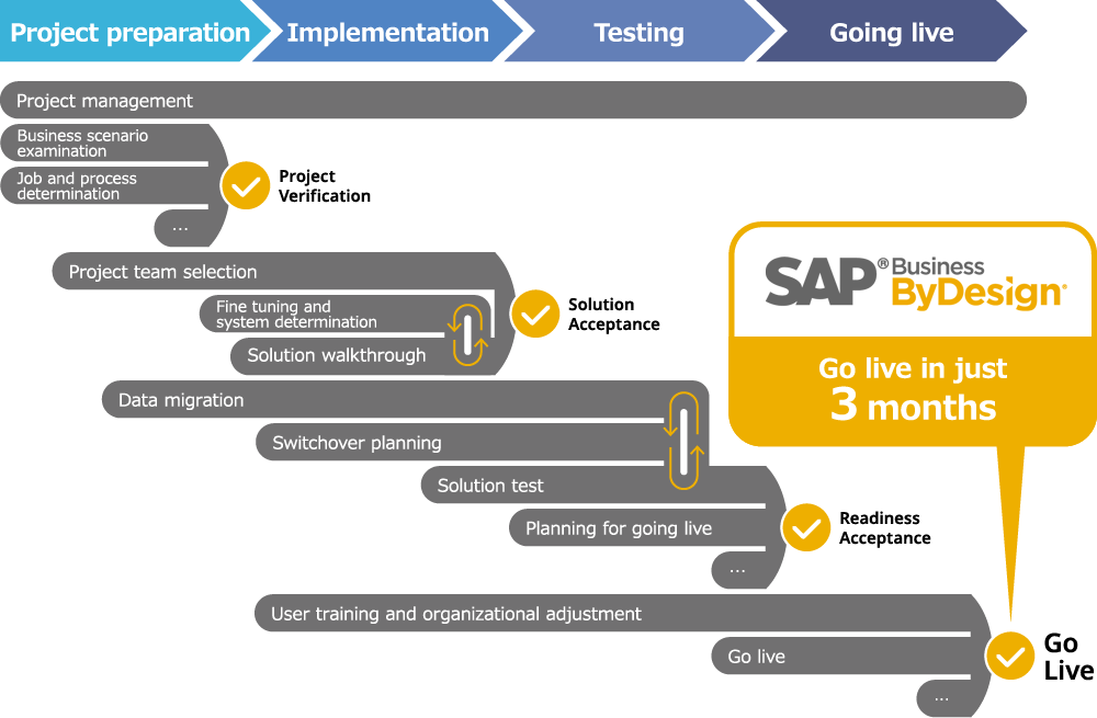 Image: SAP Business ByDesign
