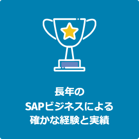 長年のSAPビジネスによる確かな経験と実績