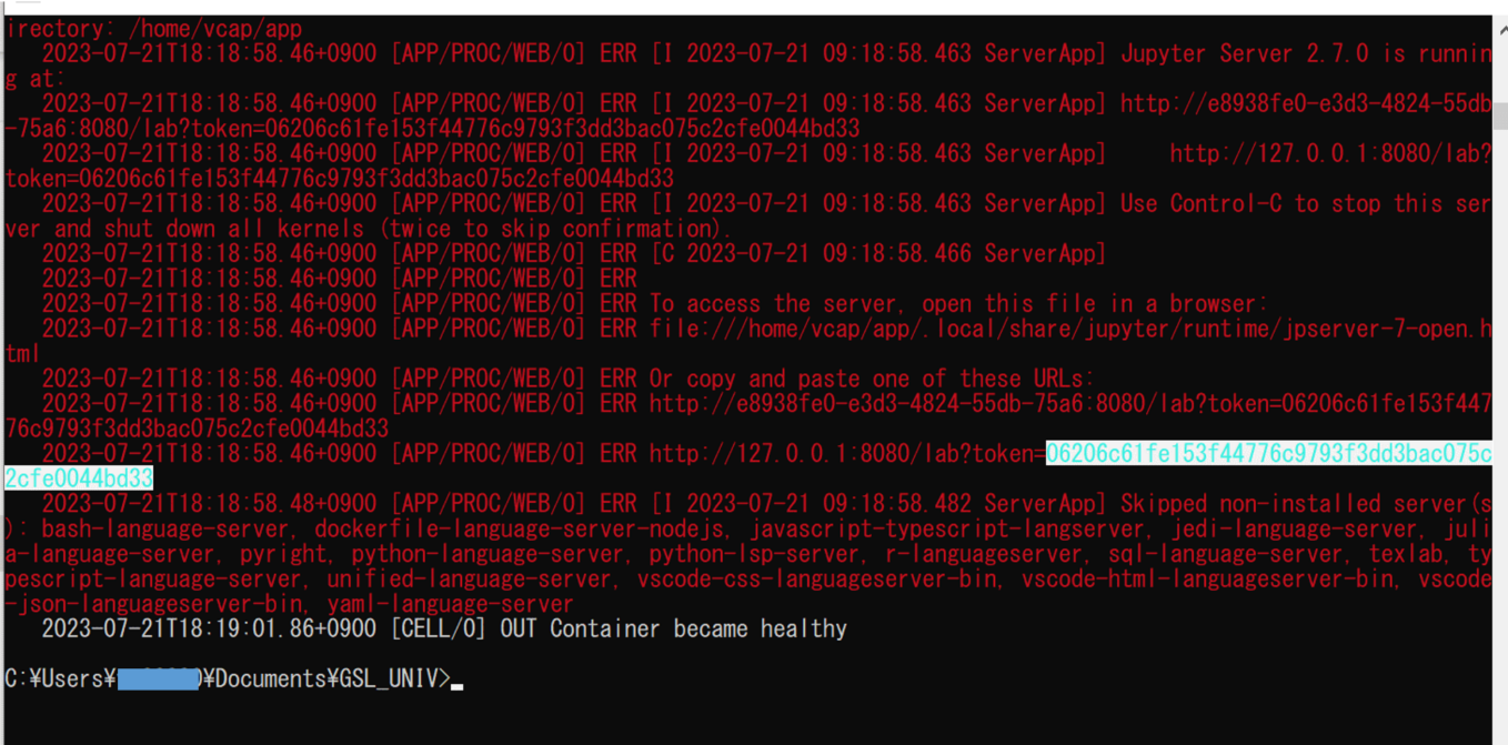 how-to-deploy-jupyter-notebook-to-sap-business-technology-platform-cloud-foundry-10.png