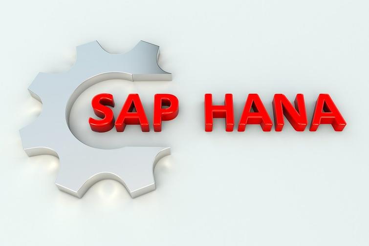 what-is-sap-hana-06.jpg