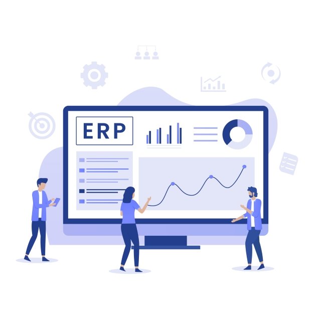 what-is-the-purpose-of-erp-implementation.jpg
